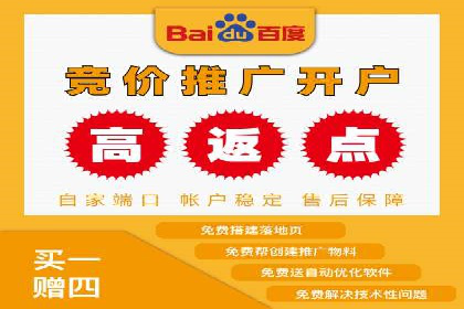 某电商平台的成功信息流广告投放经验